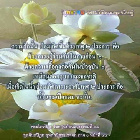 ความรักนั้น.jpg