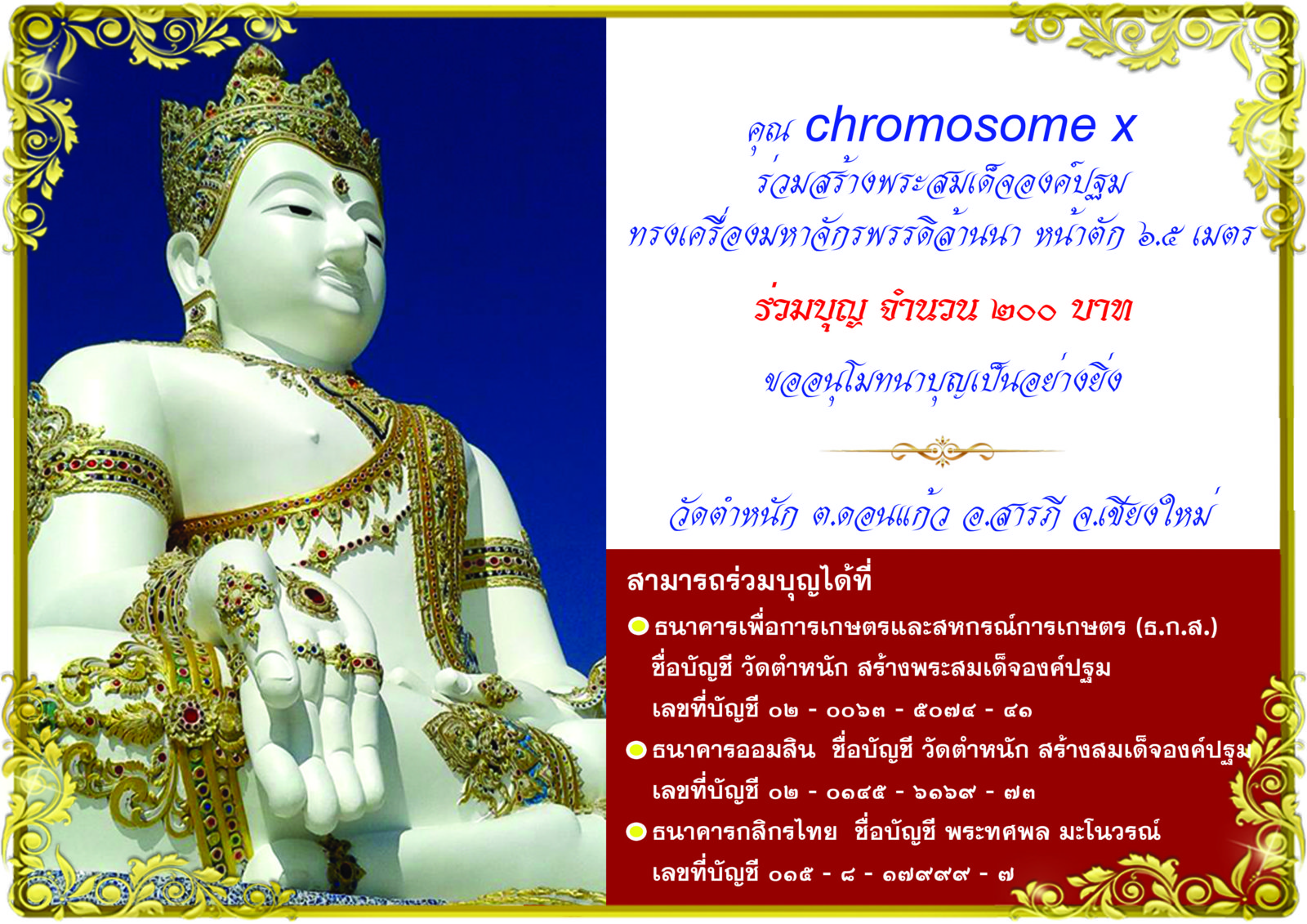 คุณ chromosome x 200.jpg