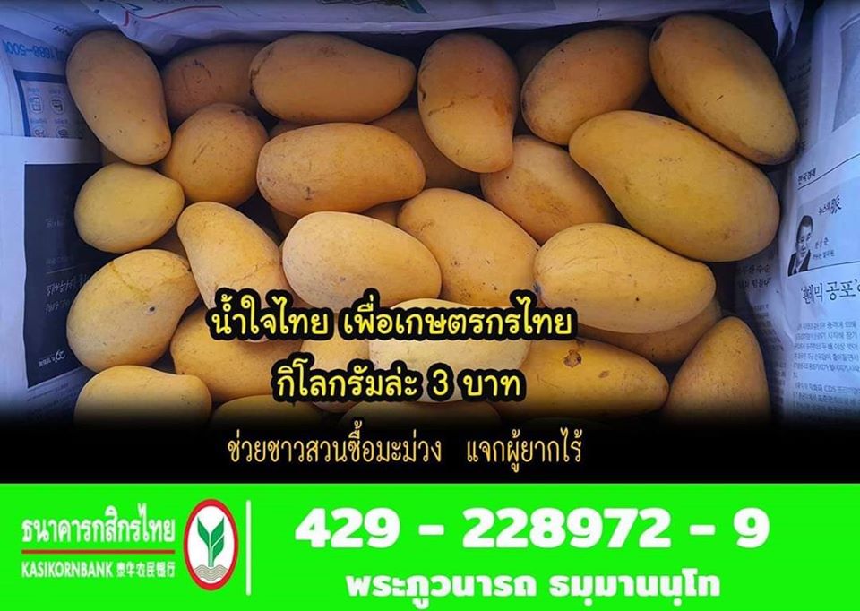 ทำบุญซื้อมะม่วง.jpg