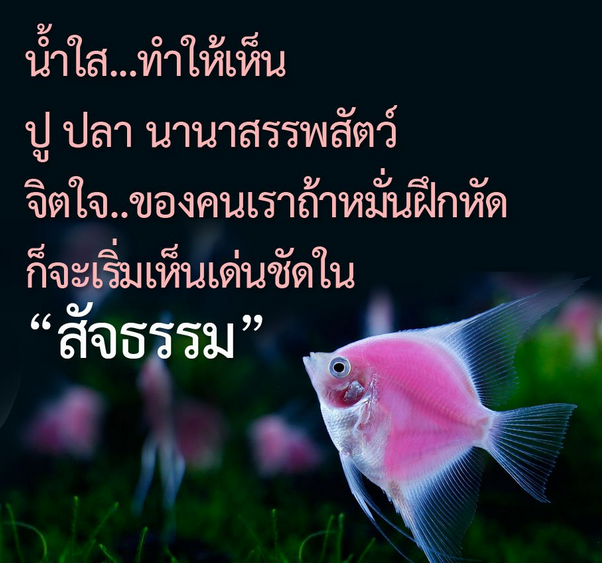 น้ำใส.PNG