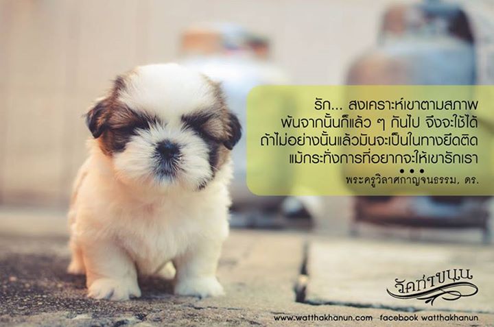 -สงเคราะห์เขาตามสภา.jpg