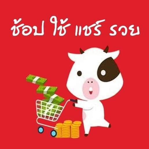 สมัครสมาชิก-มูมอล-moomall.jpg