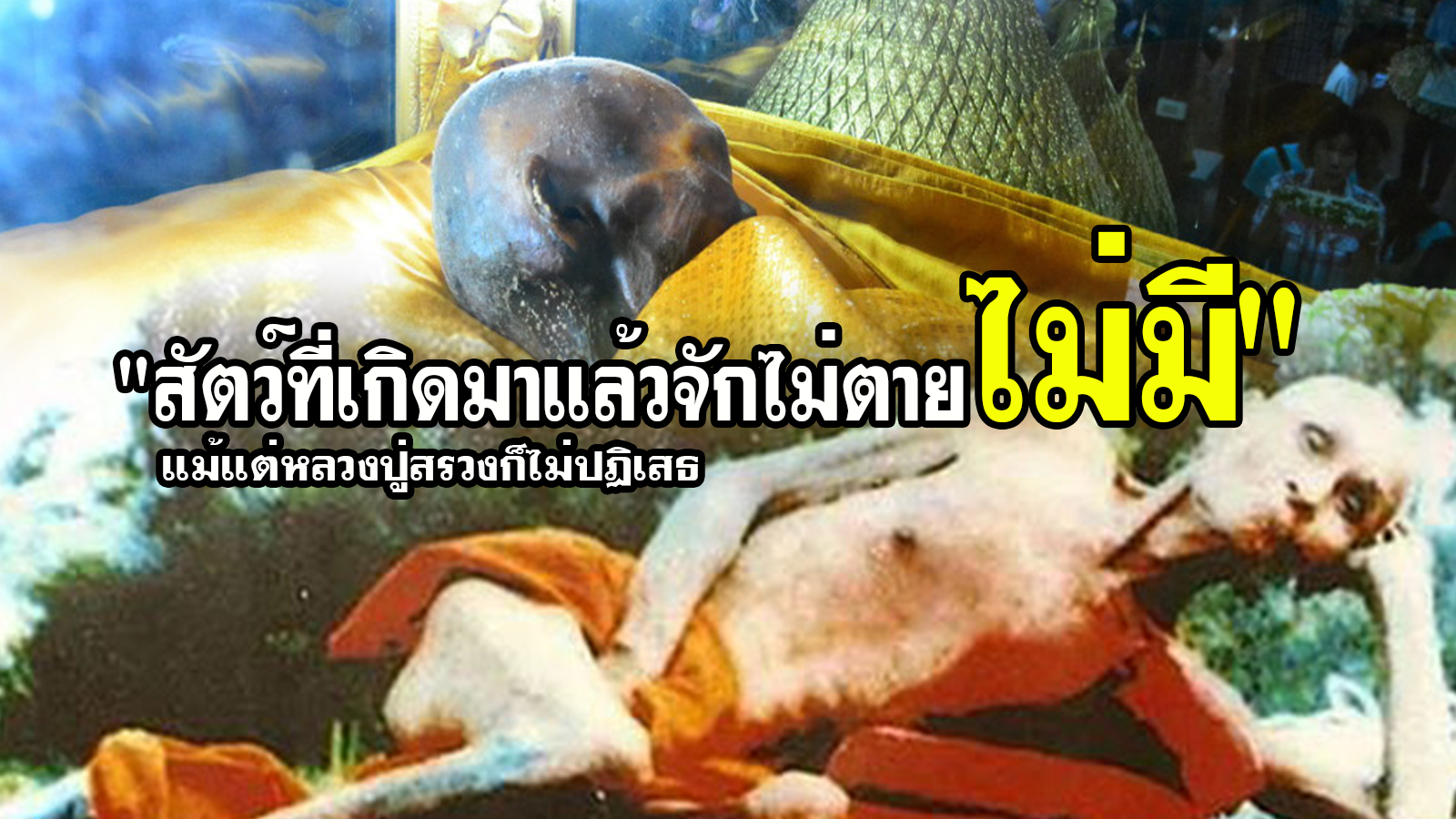 หลวงปู่สรวง-เทวดาเดินดิน (1).jpg