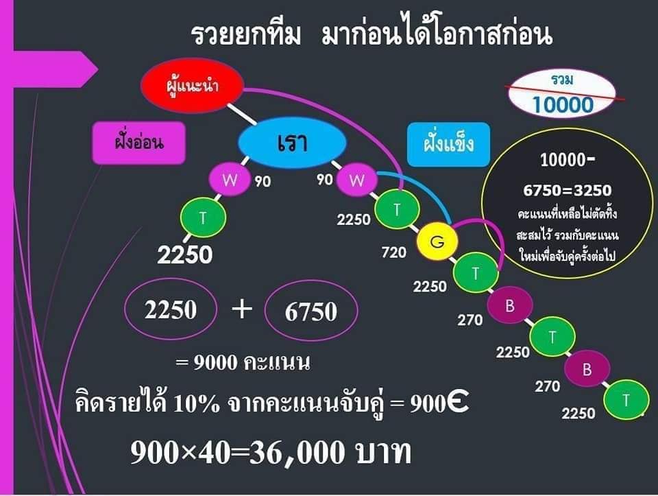 ไบนารี่-crowd1-แผนรายได้.jpg