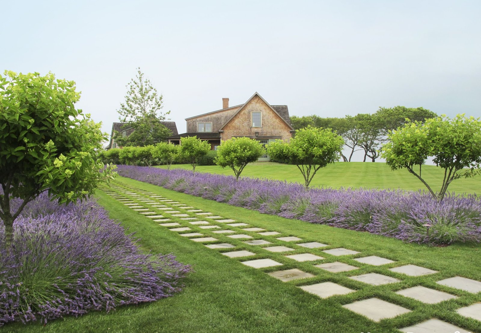 1463681200-lavender-path.jpg