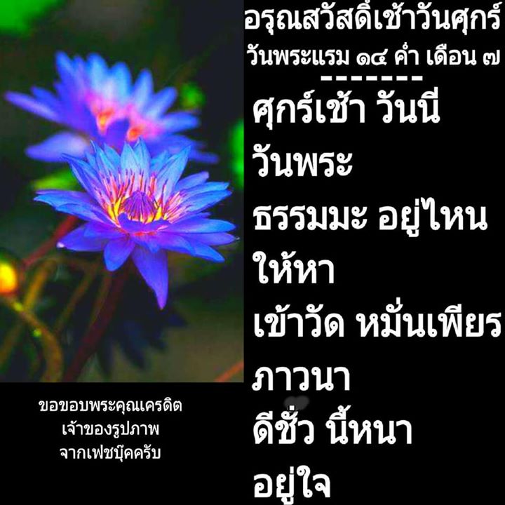 1504327126_172_ธรรมะสวัสดีเช้าวันศุกร.jpg