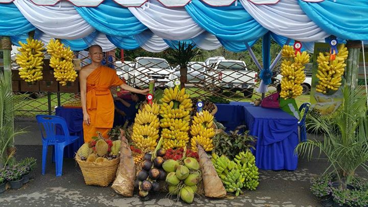 1530103445_112_พระครูวิลาศกาญจนธรรมดร.jpg