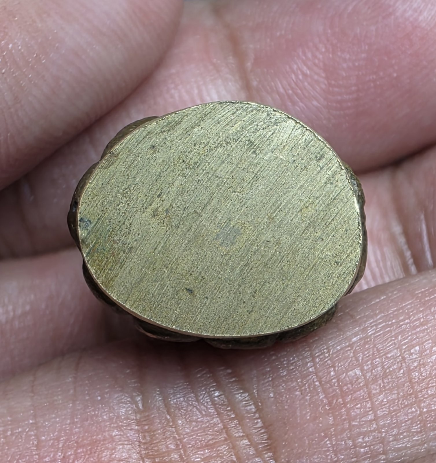 1770253883526.jpg
