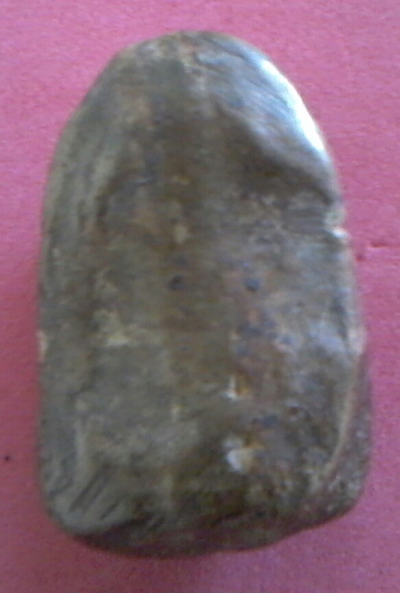 20191115_144756-1.jpg
