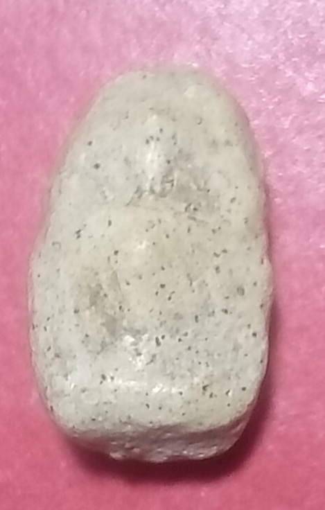 20251211_141351.jpg