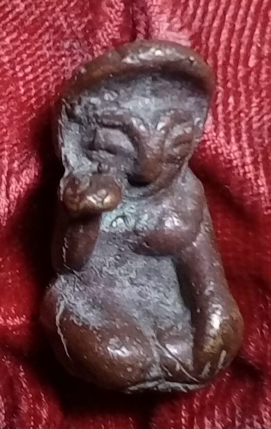 20260307_130030.jpg