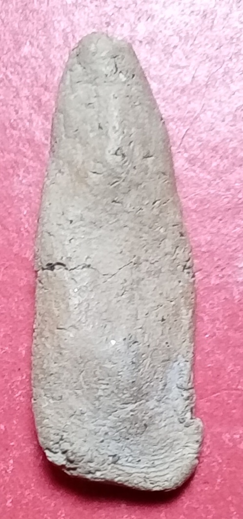 20260317_113816.jpg
