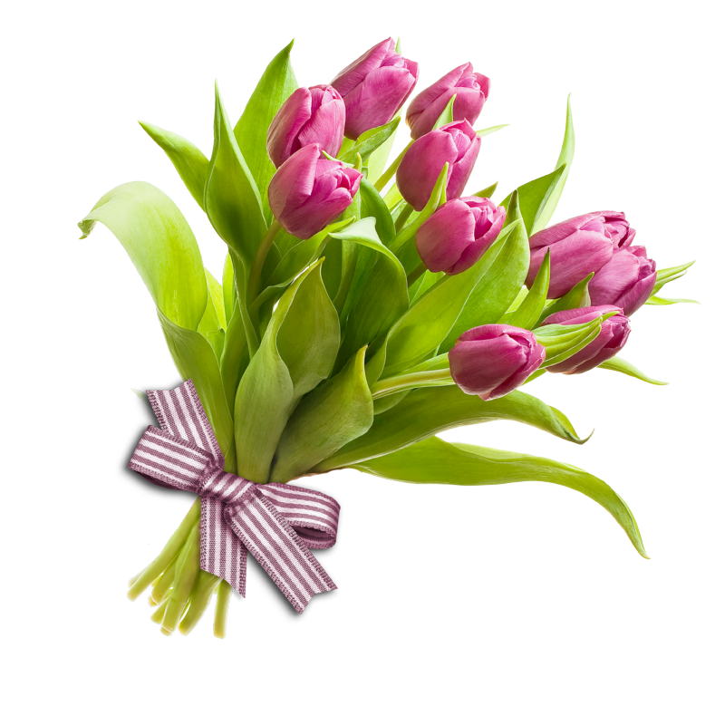 _vyrn_2712Pink-Tulips-Flower-Bouquet-PNG-Clipart.png