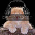 cat_happy_music.gif