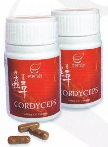 e0b896e0b8b1e0b988e0b887e0b980e0b889e0b989e0b8b2-cordyceps-e0b881e0b8b2e0b982e0b899.jpg