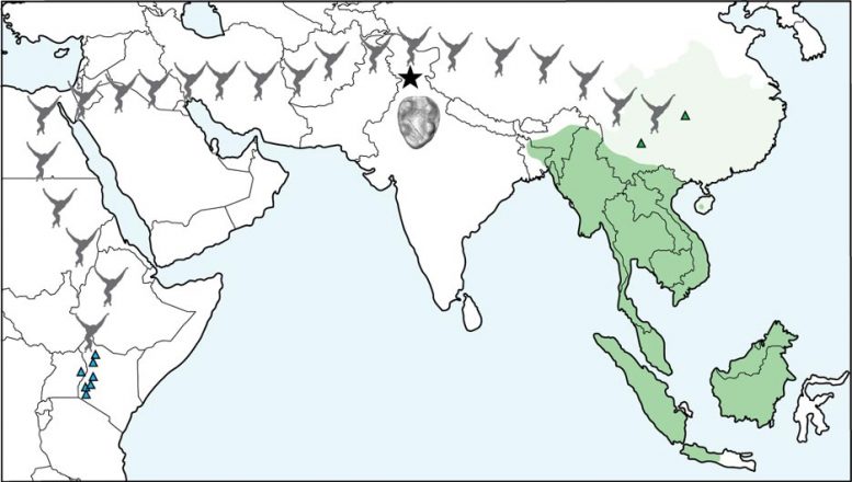 Gibbon-Migration-Map-777x440.jpg