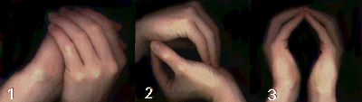 hands.gif