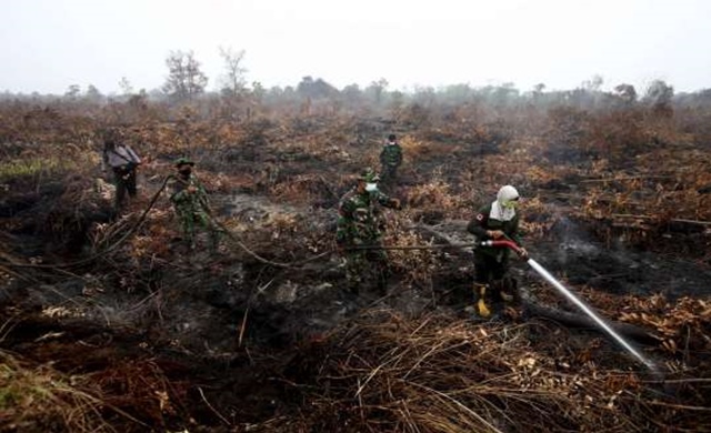 Indonesia-_-haze_fires.jpg