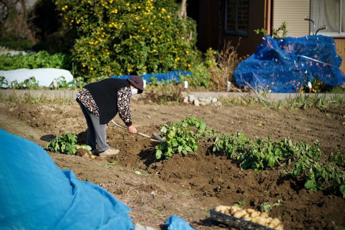 japan-forced-to-confront-resistance-to-immigration-amid-desperate-labour-shortage-abc-news-2.jpg