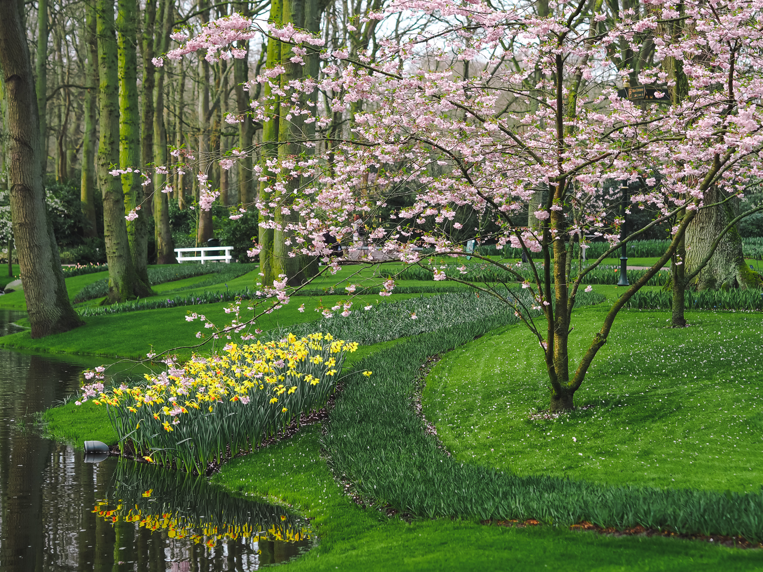 Keukenhof-17.jpg