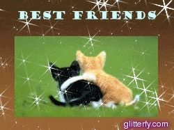 kitty_best_friends.gif