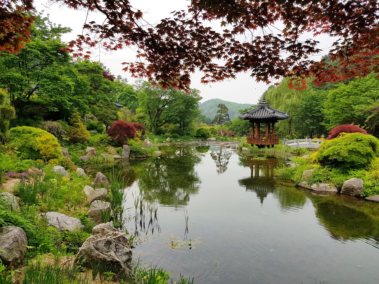 Lake_in_the_Garden_of_Morning_Calm.jpg