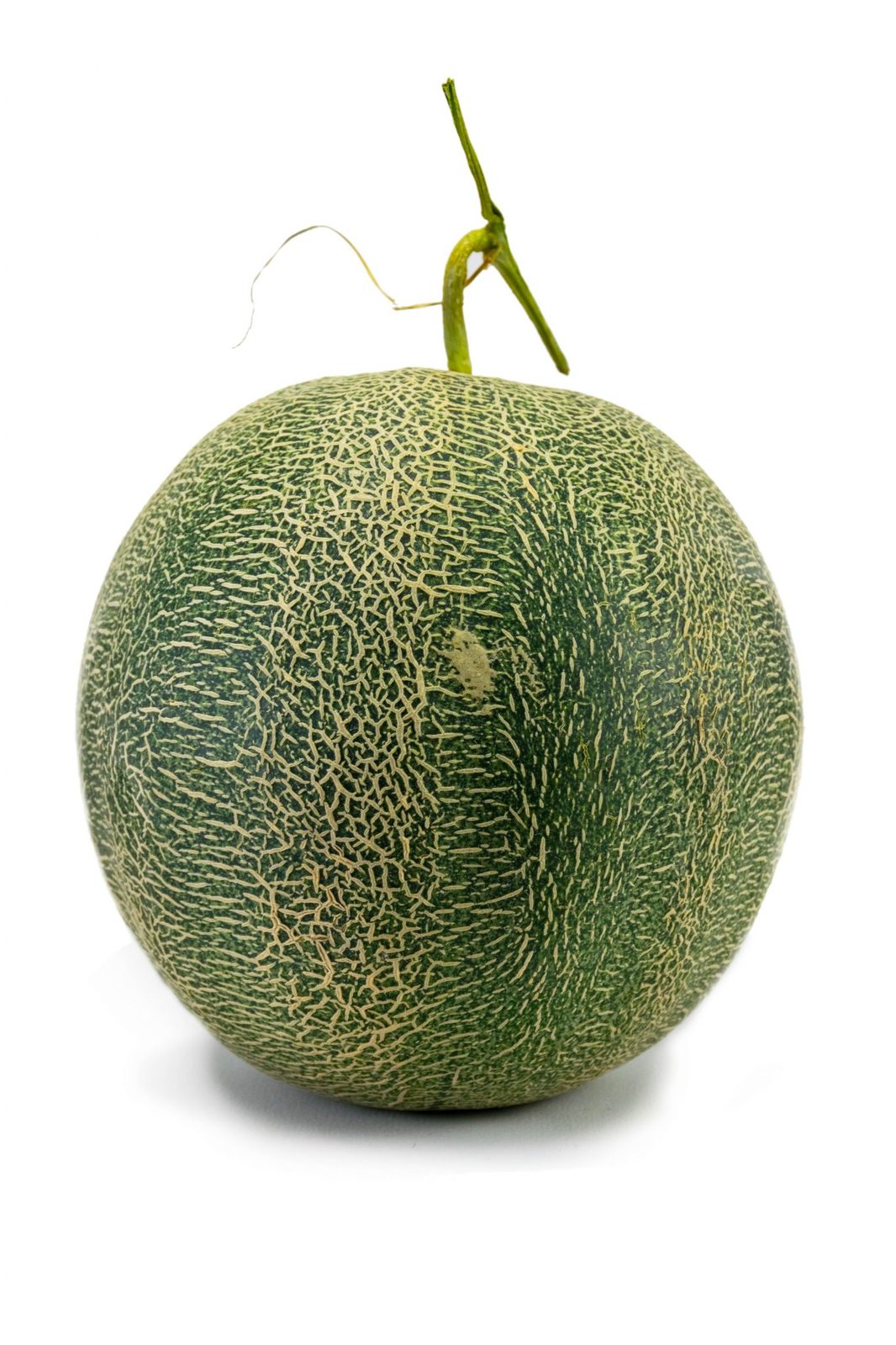 melon.jpg