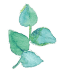 mini-green-leaf-120x150.png
