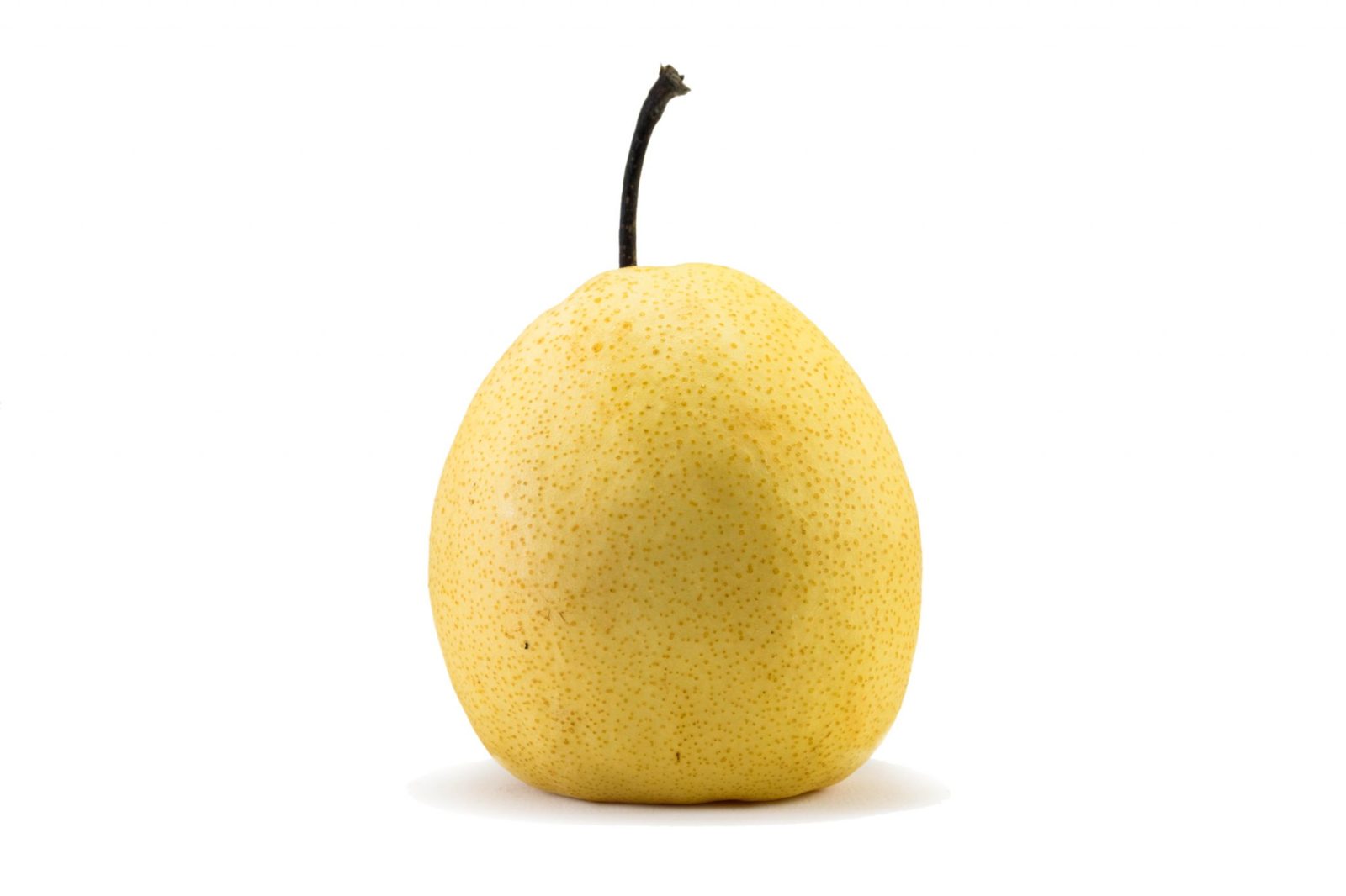 pear-1.jpg