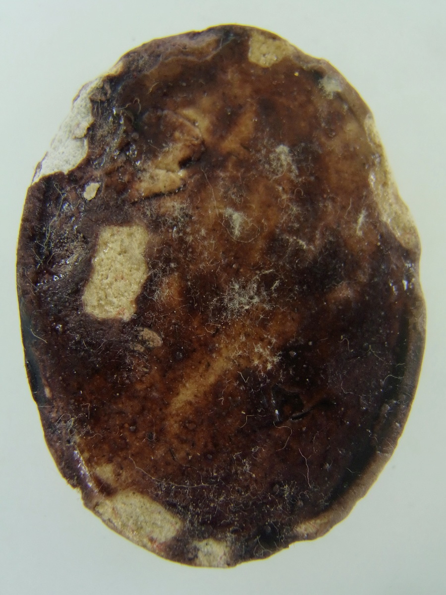 RIMG0272.JPG