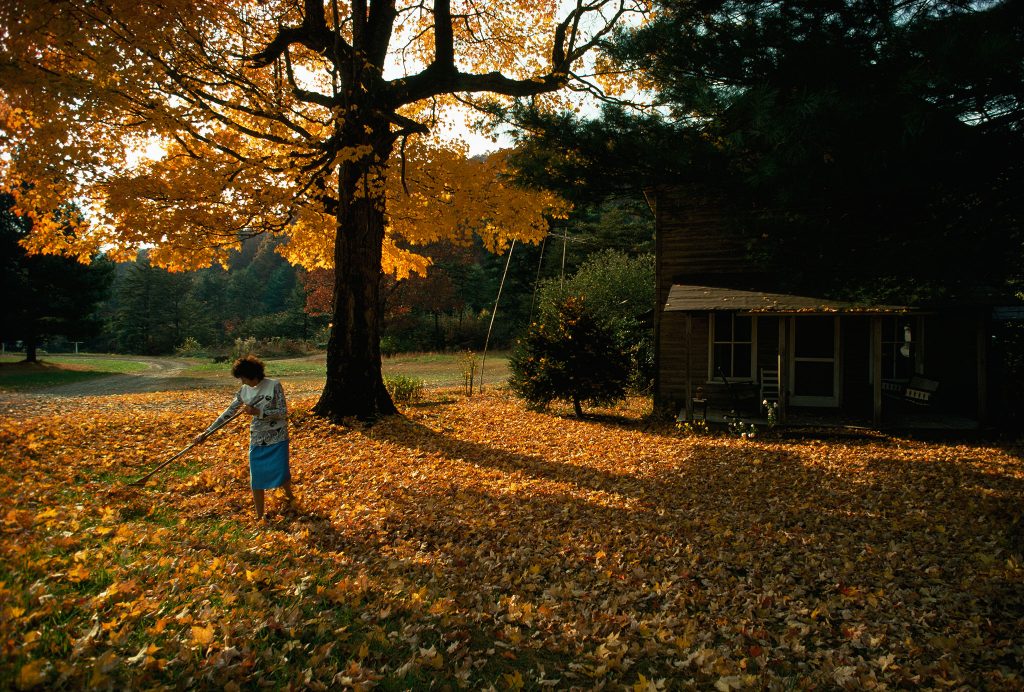 voyager-cobb-leaves-raking-voyager-nat-geo_621899-1024x692.jpg