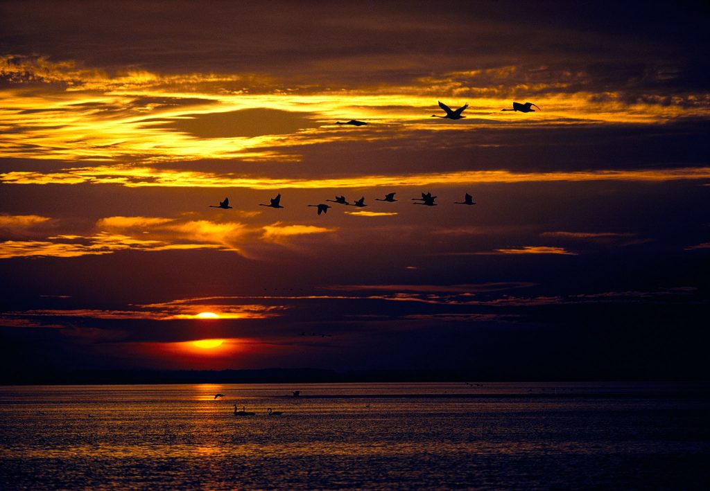 voyager-sunset-birds-landscape-nat-geo_621257-1024x709.jpg