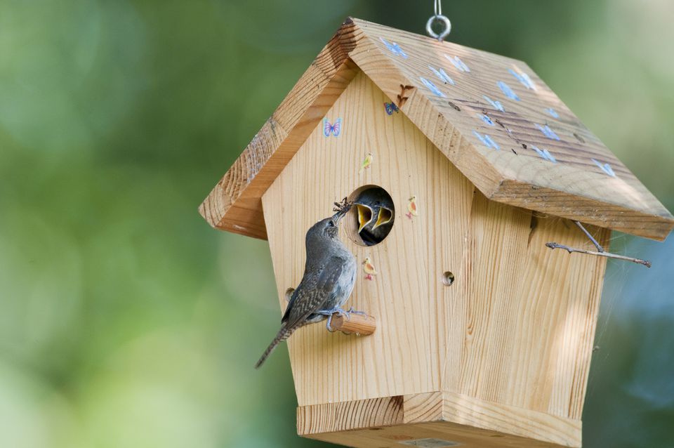 Wednesday Birdhouse-.jpg