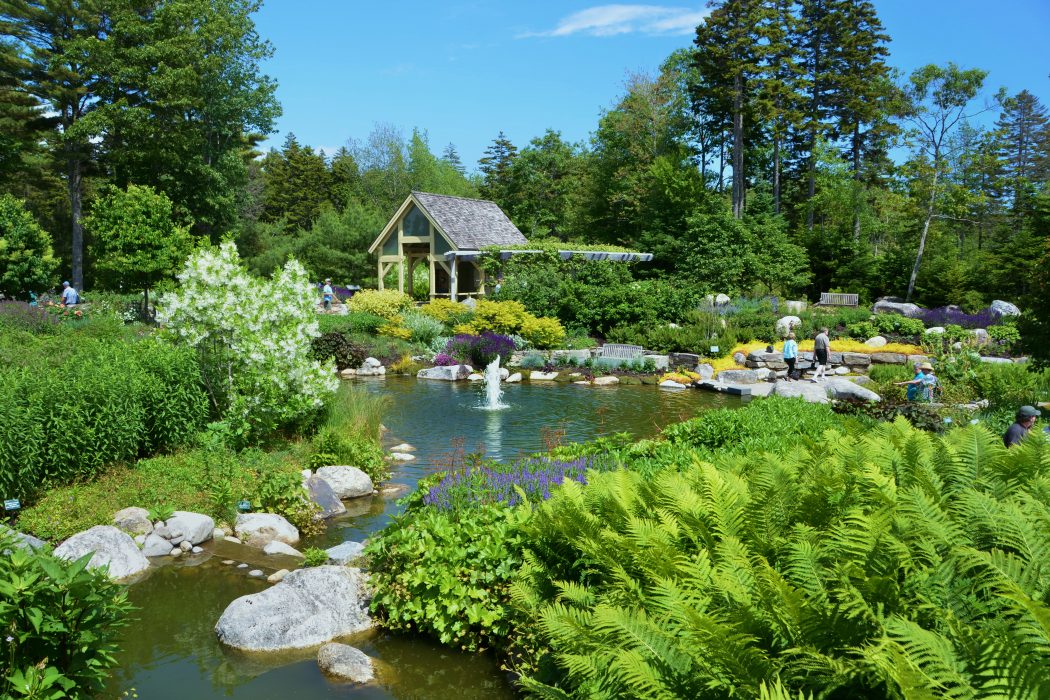 Wednesday Coastal-Maine-Botanical-1050x700.jpg