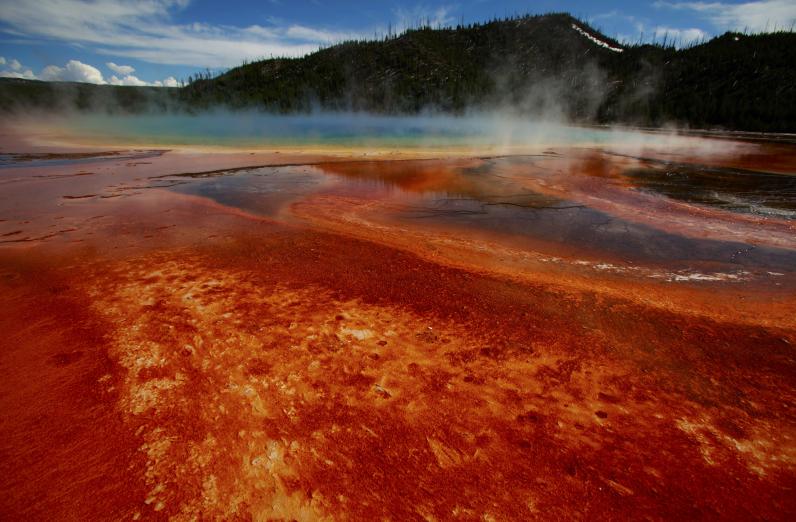 yellowstone.jpg